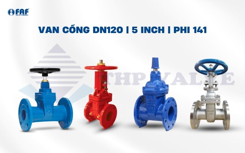 một số loại van cổng dn125