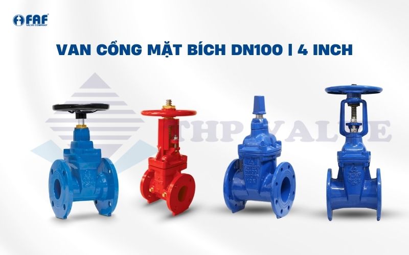 một số loại van cổng mặt bích dn100