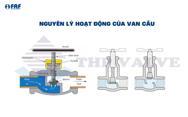 nguyên lý hoạt động của van cầu