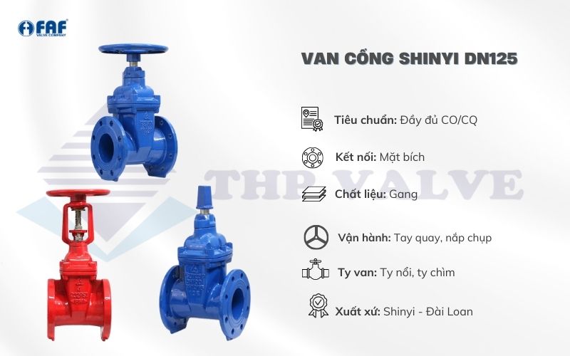 thông số van cổng shinyi dn125