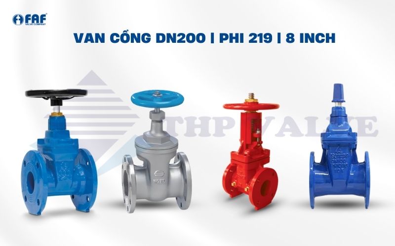 van cổng dn200