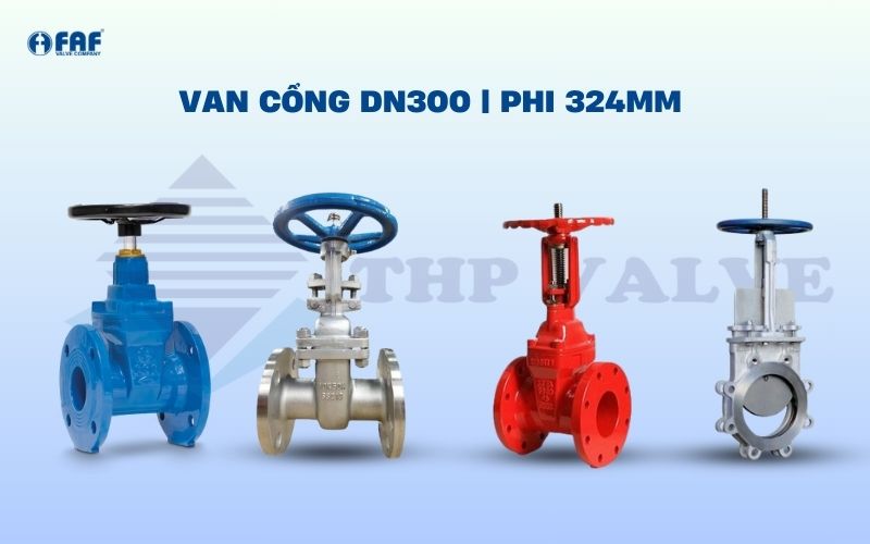 van cổng dn300 phi 324