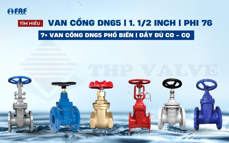 van cổng dn65 phi 76