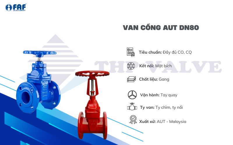 van cổng aut dn80