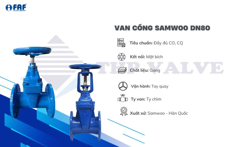 van cổng samwoo dn80