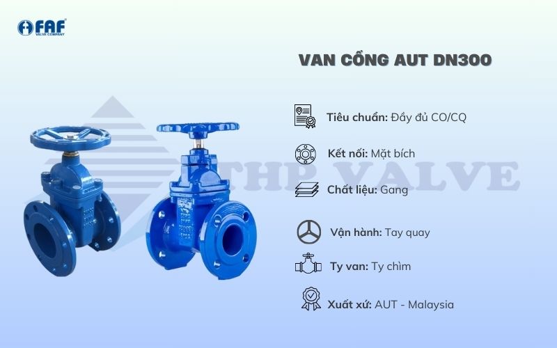 van cổng aut dn300