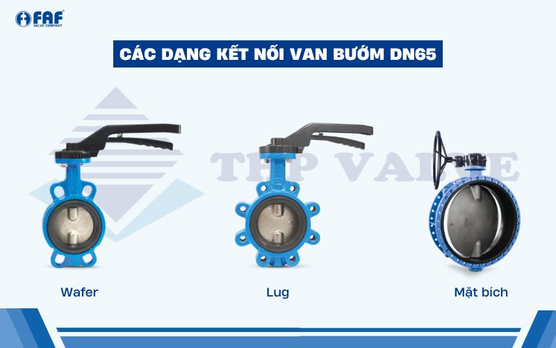 các kiểu kết nối van bướm dn65