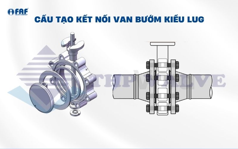 cấu tạo phần kết nối van bướm kiểu lug