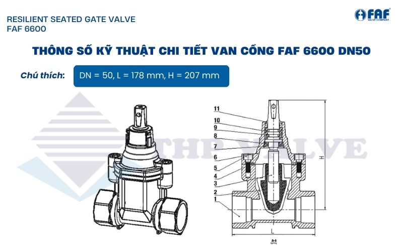 thông số van cổng nối ren faf 6600 dn50