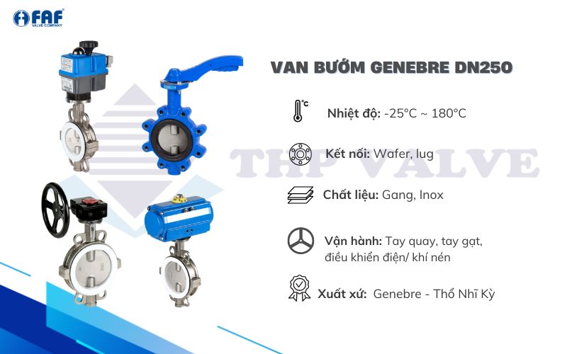 van bướm dn250 genebre