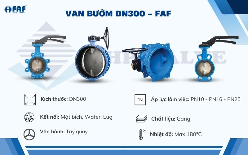 van bướm dn300 faf