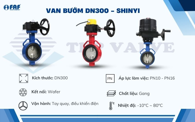 van bướm dn300 shinyi