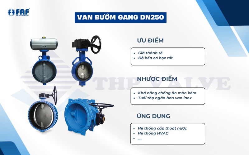 van bướm gang dn250