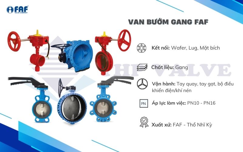 van bướm gang faf