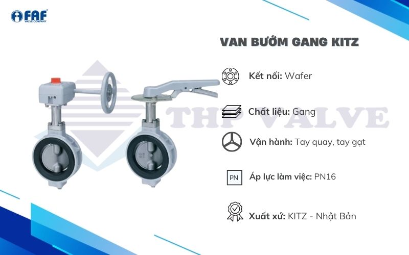 van bướm gang kitz