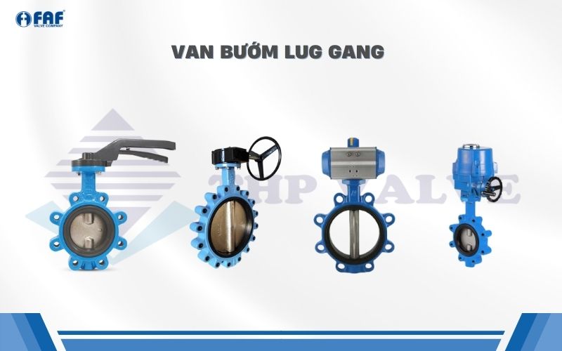 van bướm gang lug type