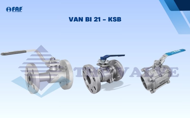 van bi 21 ksb