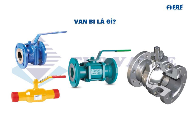 van bi là gì