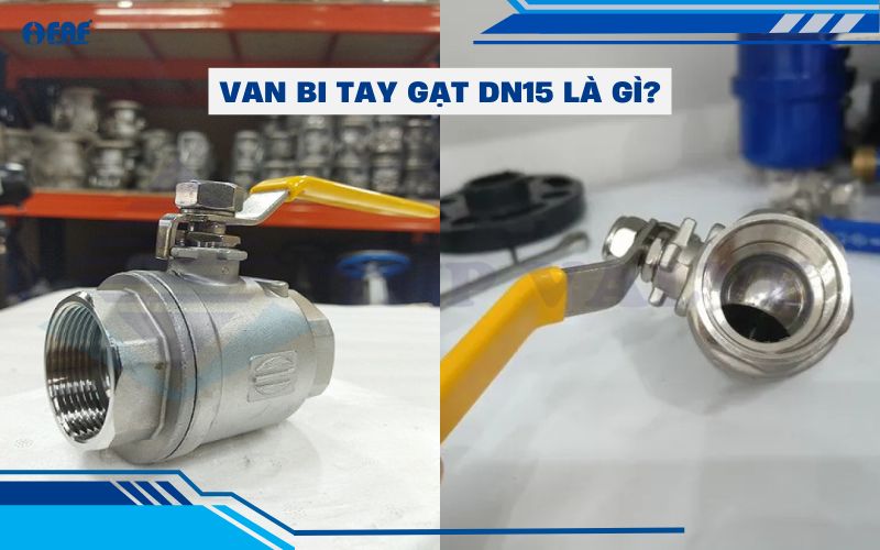 van bi tay gạt dn15 là gì
