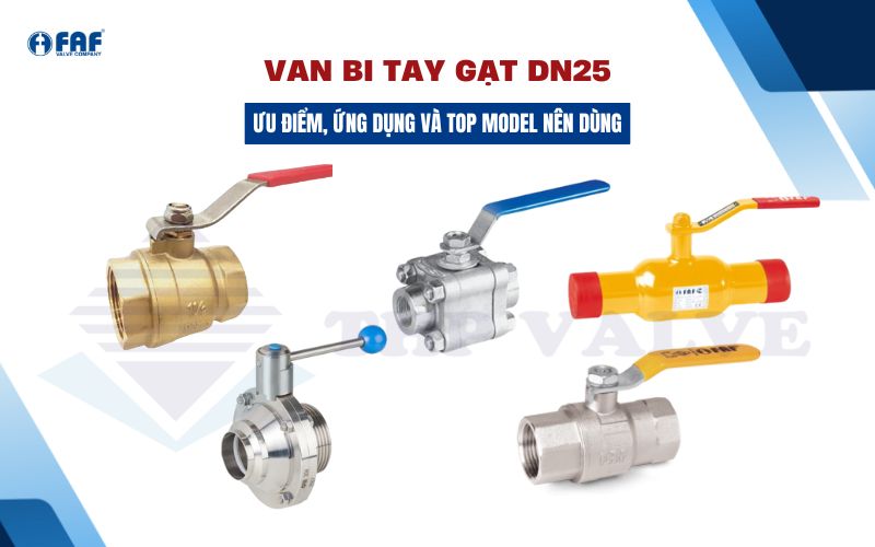 van bi tay gạt dn25