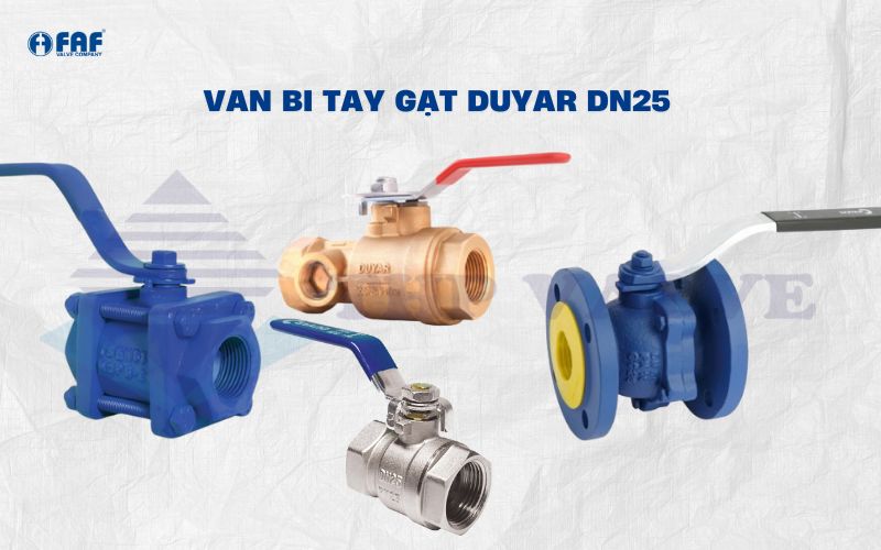 van bi tay gạt duyar dn25