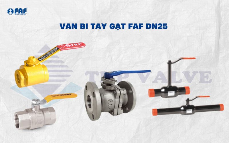 van bi tay gạt faf dn25