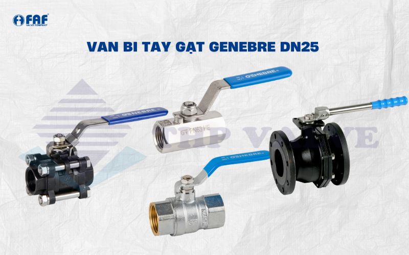van bi tay gạt genebre dn25