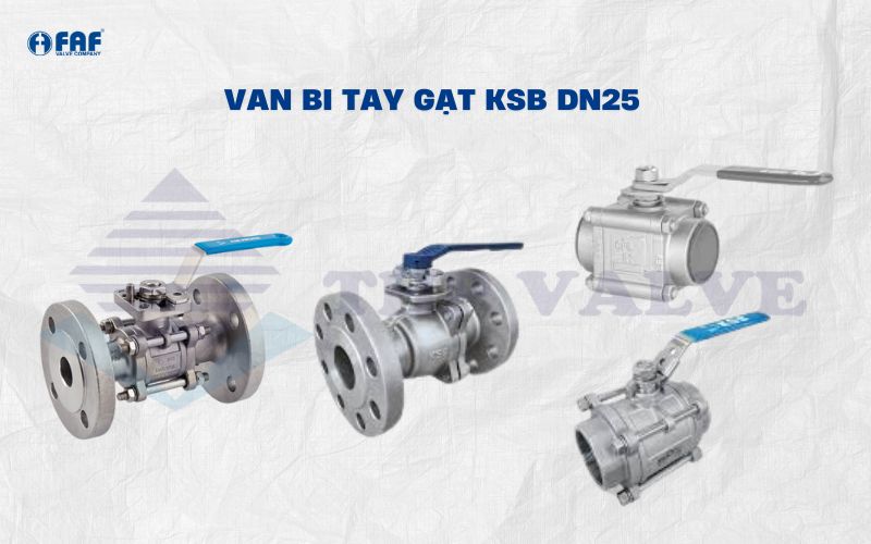 van bi tay gạt ksb dn25