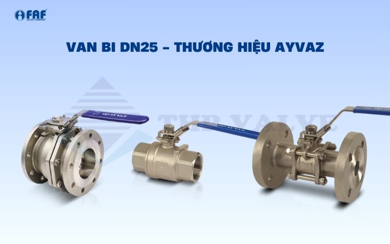 van bi dn25 thương hiệu ayvaz
