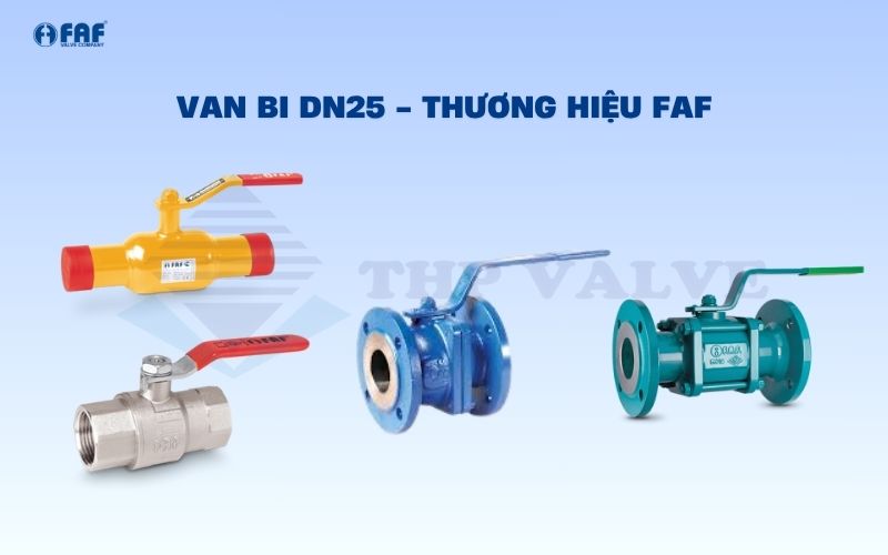 van bi dn25 thương hiệu faf