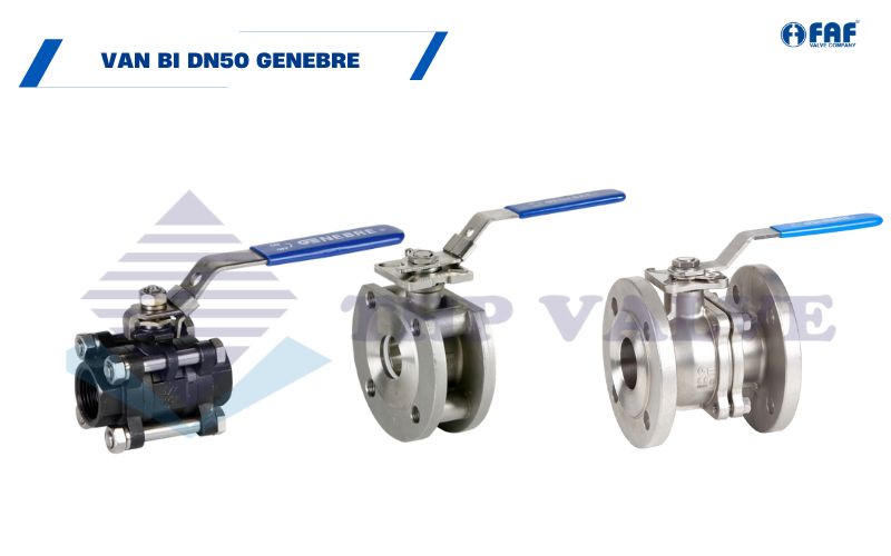 van bi dn50 genebre