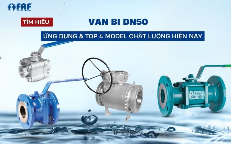van bi dn50