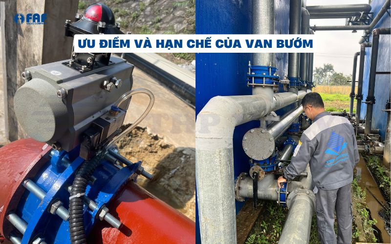 van bướm có ưu điểm và hạn chế riêng