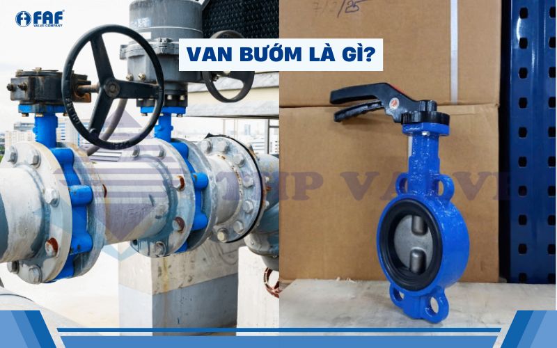 van bướm là gì