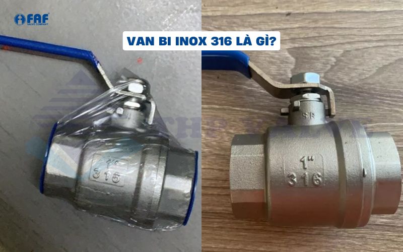 giới thiệu van bi inox 316