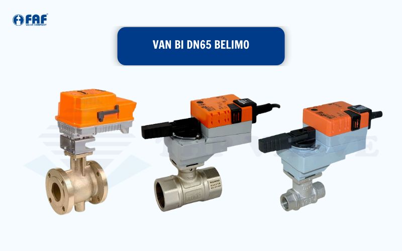 van bi dn65 belimo