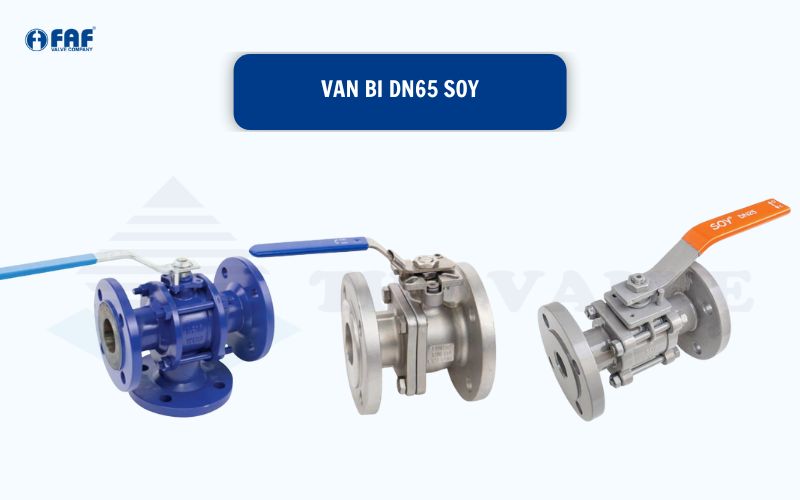 van bi dn65 soy