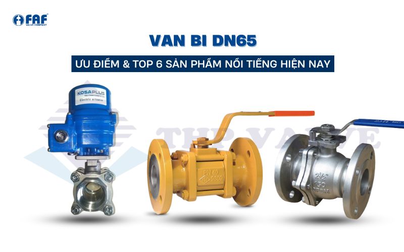 van bi dn65