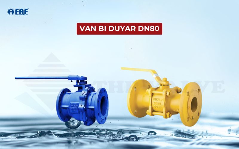 van bi dn80 duyar