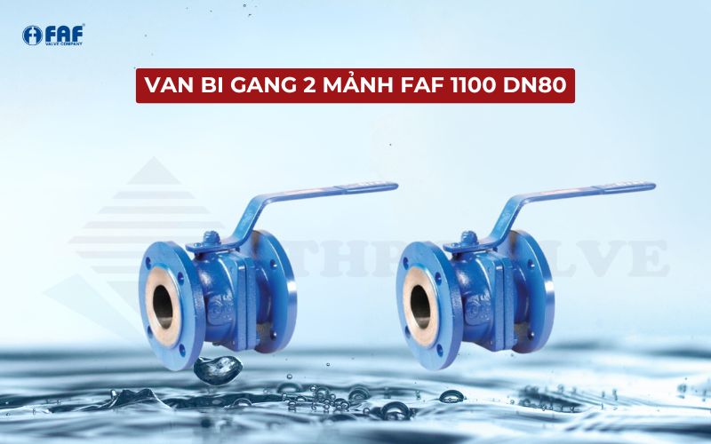 van bi dn80 thương hiệu faf model 1100