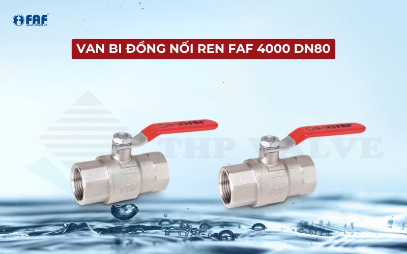 van bi dn80 faf 4000