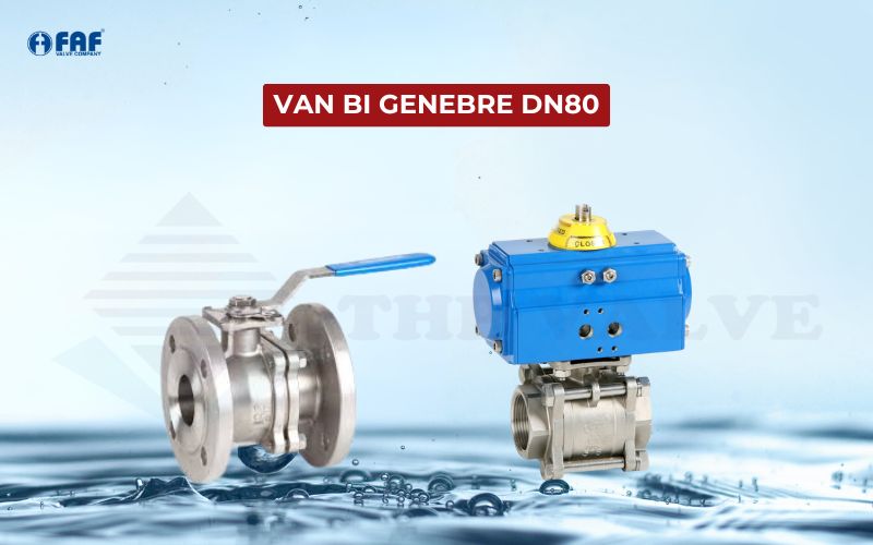 van bi dn80 genebre