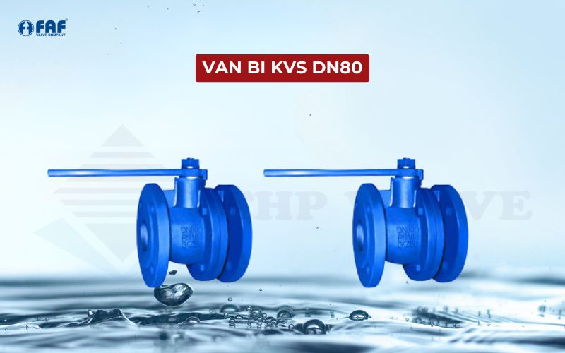 van bi dn80 kvs