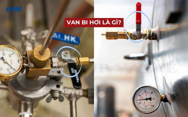 van bi hơi là gì
