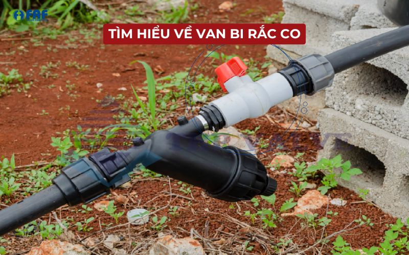 van bi rắc co là gì