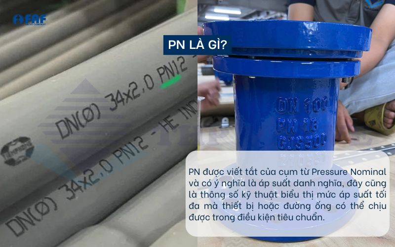 giới thiệu chung về pn là gì