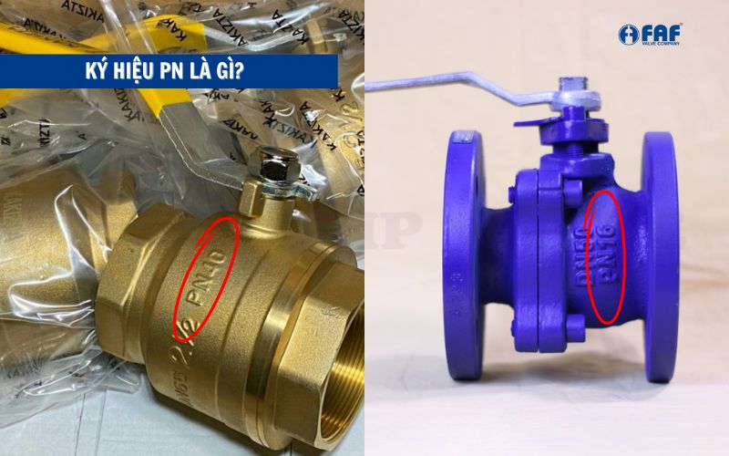 ký hiệu pn là gì