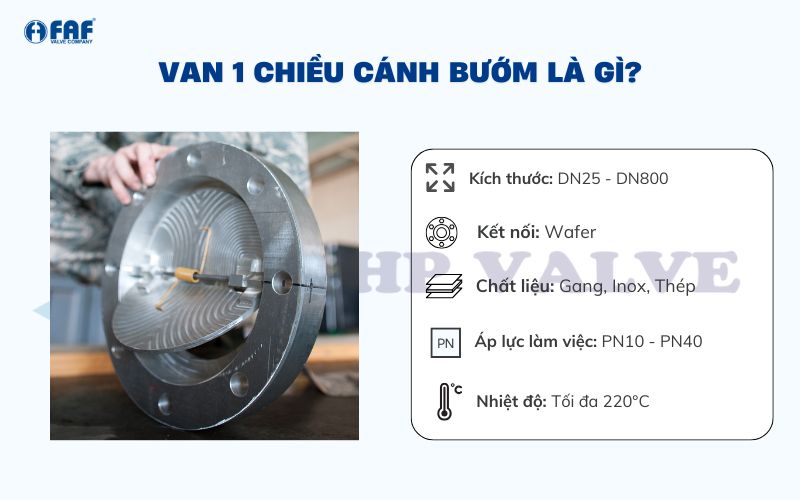 gioi-thieu-van-1-chieu-canh-buom