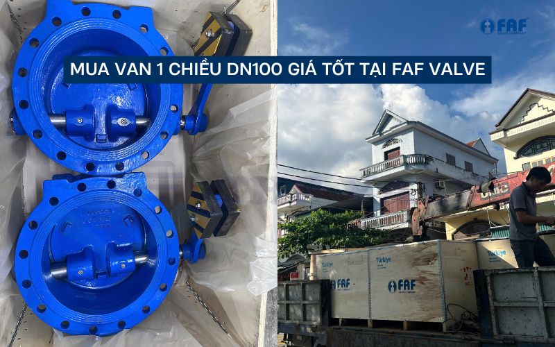fafvalve sẵn kho các mẫu van 1 chiều dn100
