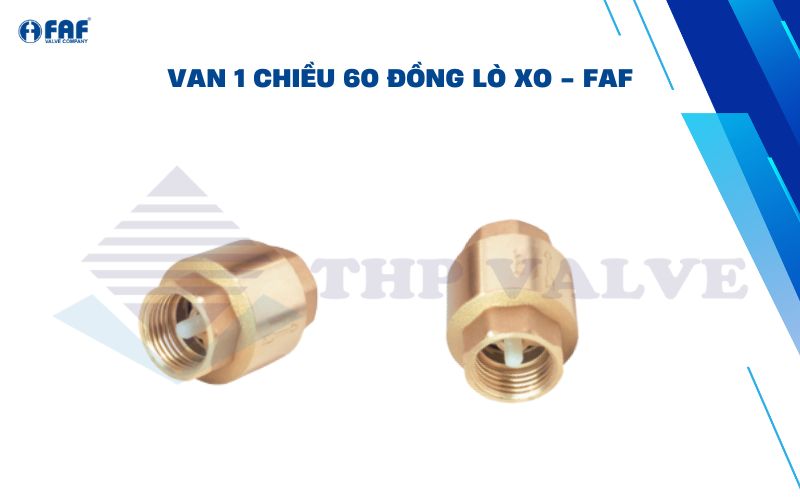 van 1 chiều đồng lò xo phi 60 của faf